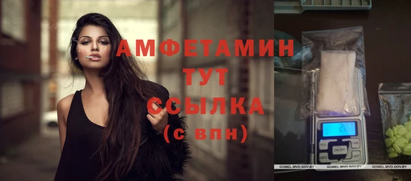 прущие грибы Алексин