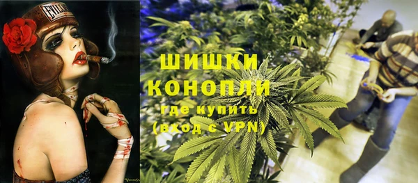 прущие грибы Алексин