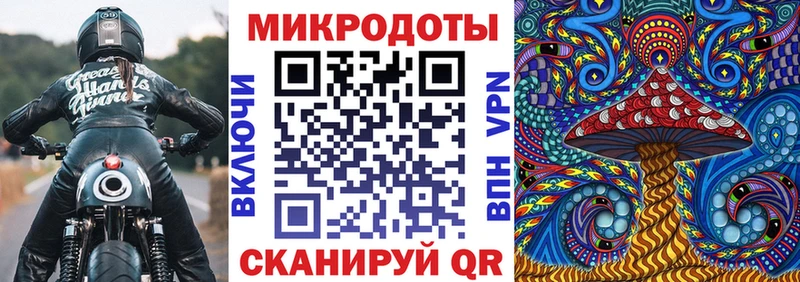 Галлюциногенные грибы Psilocybine cubensis  как найти   Тотьма 